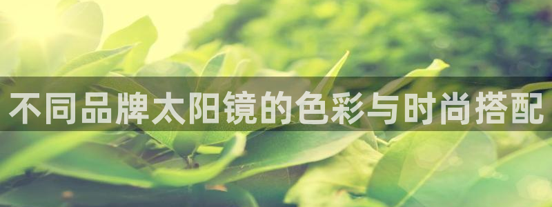 辉达娱乐app