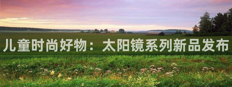 辉达娱乐计划软件