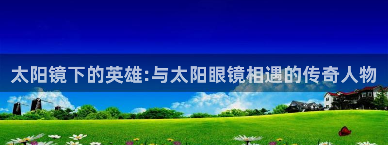 辉达娱乐公司