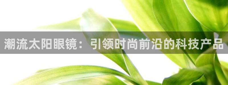 辉达娱乐