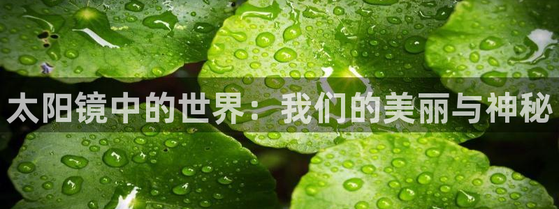 辉达娱乐新疆时时彩