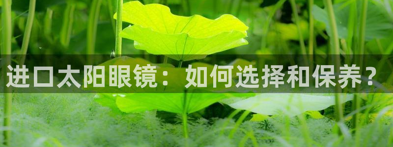 信誉辉达娱乐官方网址