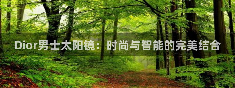 辉达娱乐平台