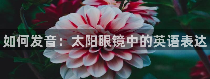 辉达平台官网首页