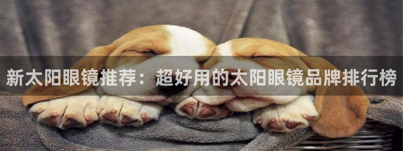辉达娱乐游戏.直开.中国