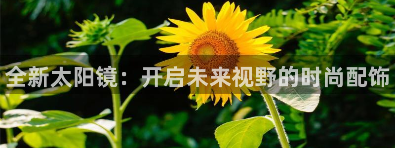 达娱乐辉70667