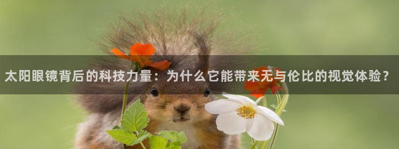 辉达娱乐下载