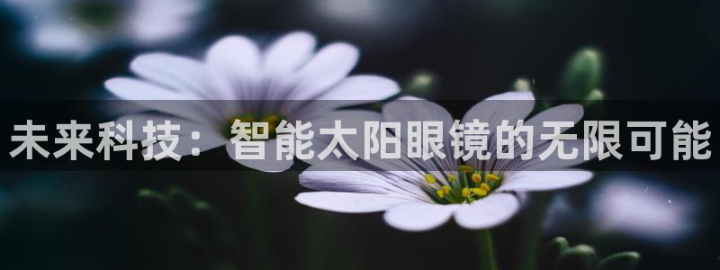 辉达娱乐总部