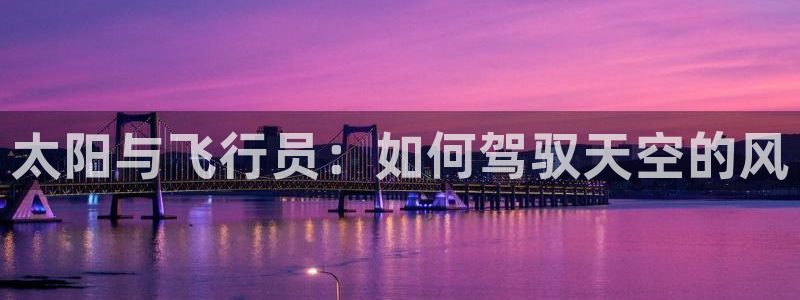 辉达娱乐计划软件