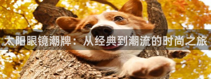 辉达娱乐计划软件
