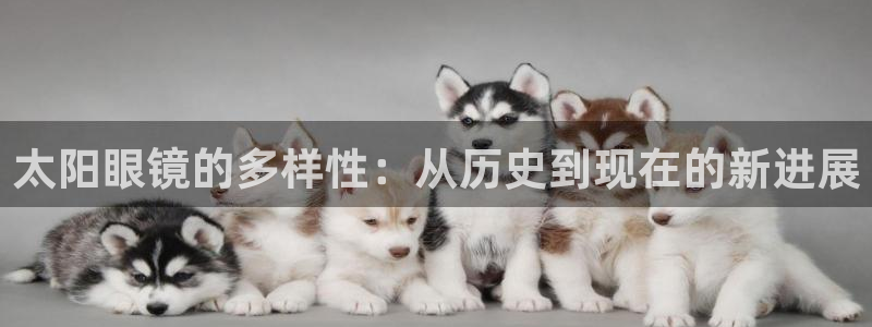 辉达平台娱乐怎么样