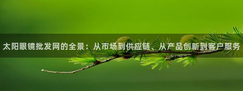 辉达娱乐网址