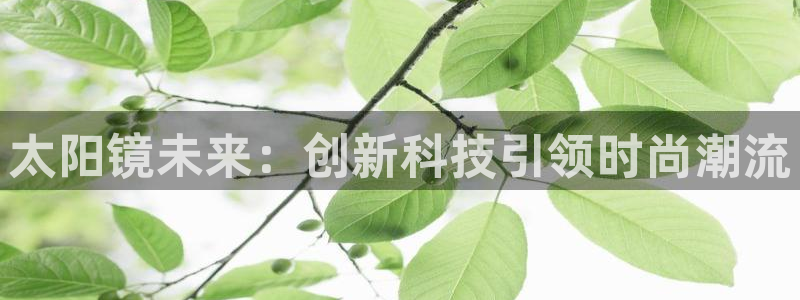 辉达娱乐