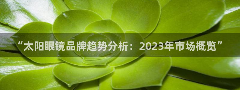 辉达娱乐己39444