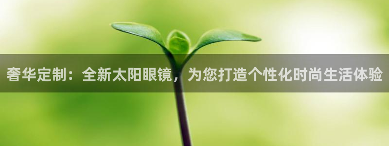 专业辉达娱乐平台