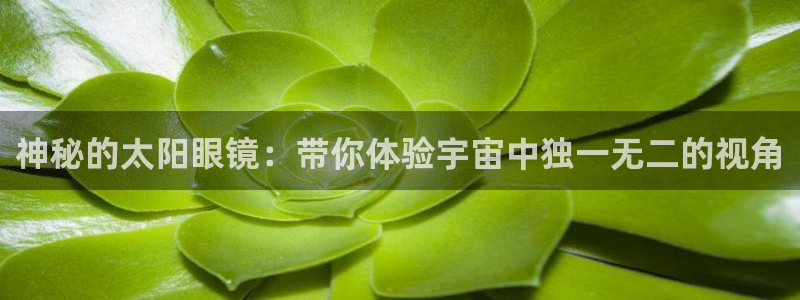 辉达娱乐游戏.直开.中国