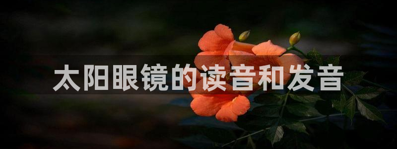 达娱乐辉70667