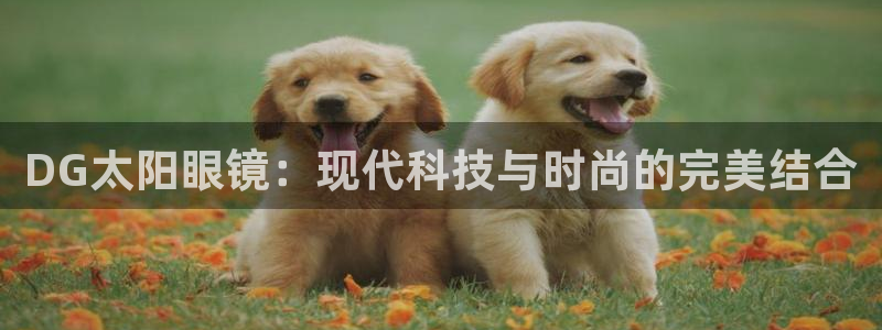 辉达娱乐丨39444