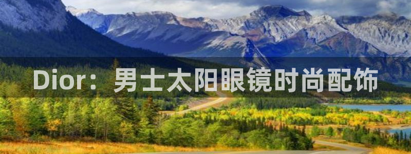 辉达娱乐app