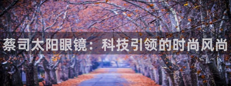辉达娱乐
