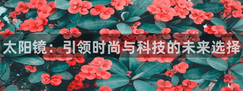 辉达娱乐计划软件