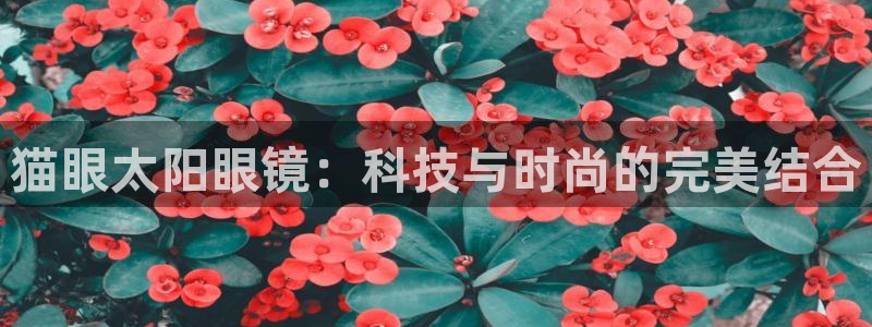 辉达娱乐五39444