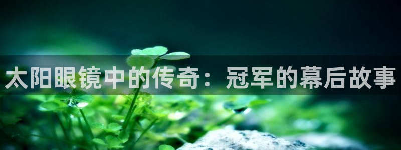辉达娱乐网址