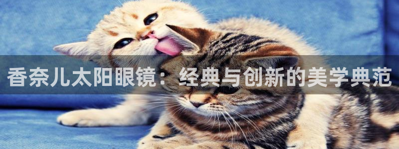 辉达娱乐福彩