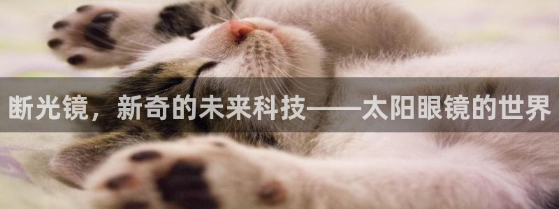 辉达娱乐己75505