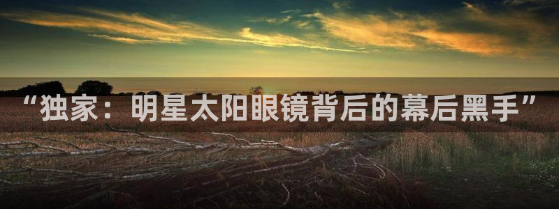 代理辉达娱乐平台