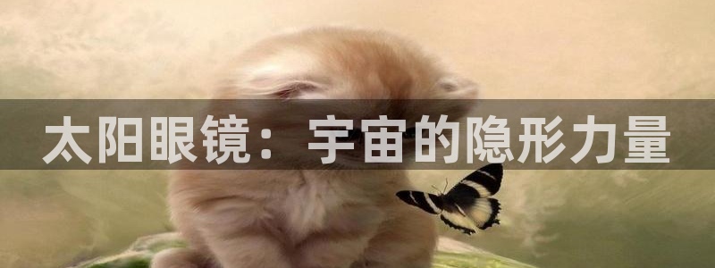 辉达娱乐