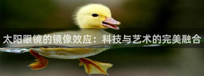 辉达娱乐检测