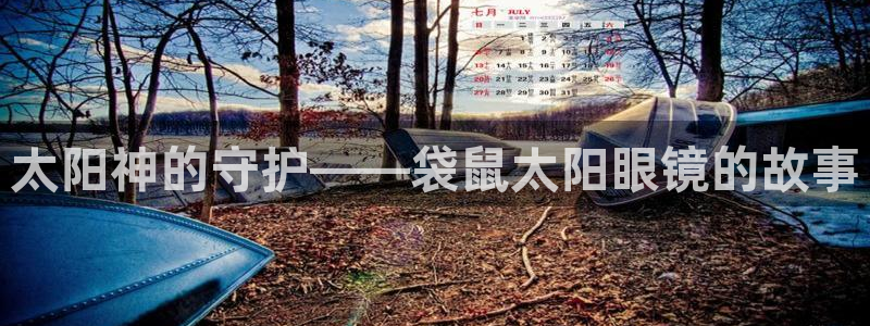 辉达娱乐电子游艺