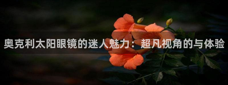 菲律宾辉达娱乐