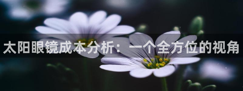 辉达娱乐丿39444
