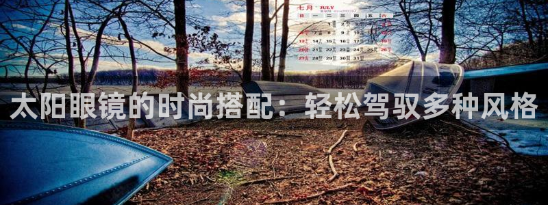 龙腾辉达电子娱乐