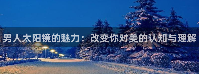 辉达娱乐公司