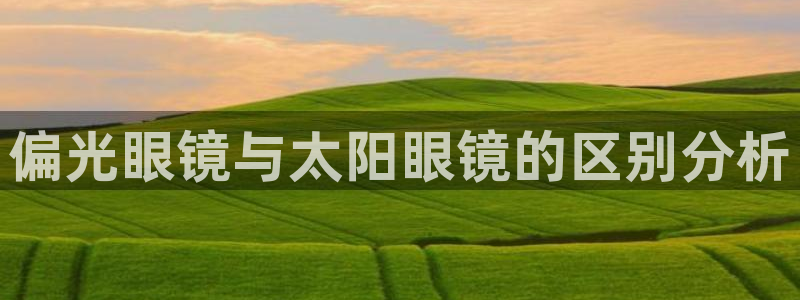 辉达娱乐公司
