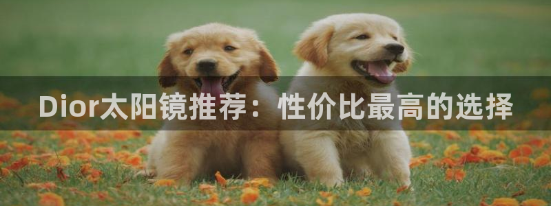 辉达娱乐体彩