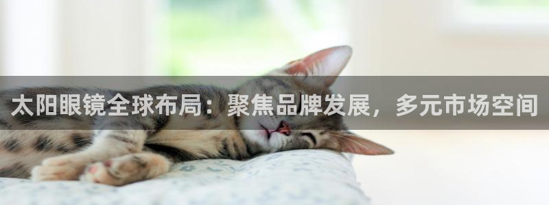 专业辉达娱乐在线游戏
