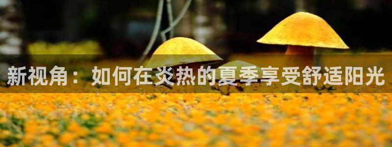 辉达平台官网网站