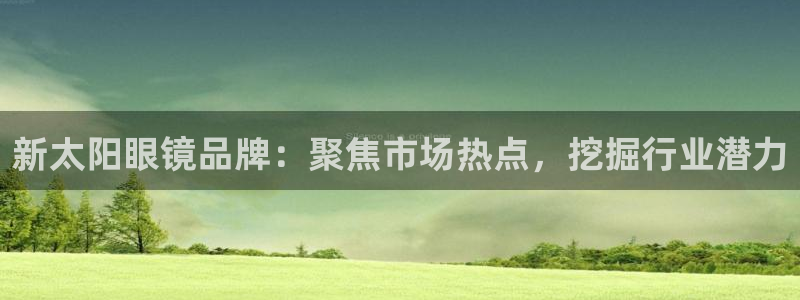 辉达娱乐电子