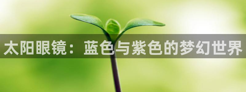 菲律宾辉达娱乐