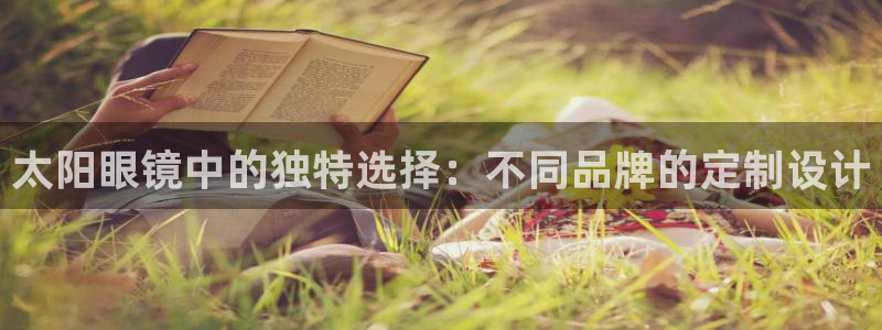 辉达娱乐官网