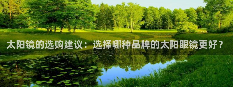 辉达娱乐多少年