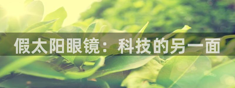 辉达集团官方网站