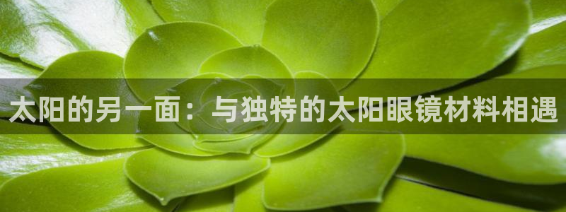 辉达娱乐最新版本更新内容