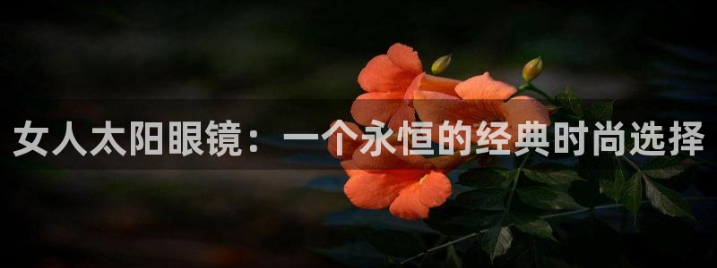 辉达娱乐体彩