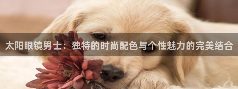 辉达平台娱乐怎么样