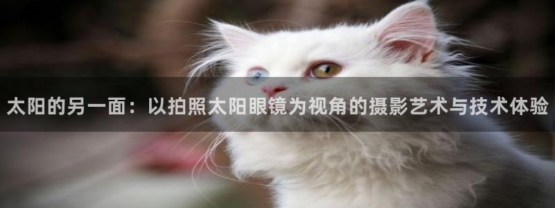 辉达娱乐游戏.直开.中国